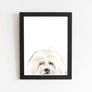 Coton De Tulear Wall Art Print, Dog Watercolor Illustration Different Sizes